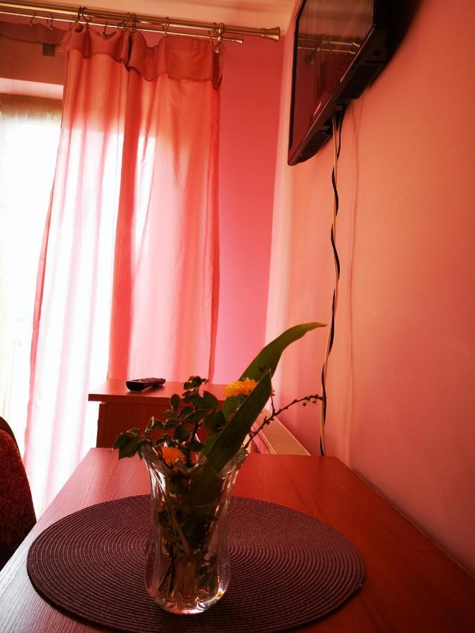 Agroturystyka W Dolinie Narwi Lomza Exterior foto